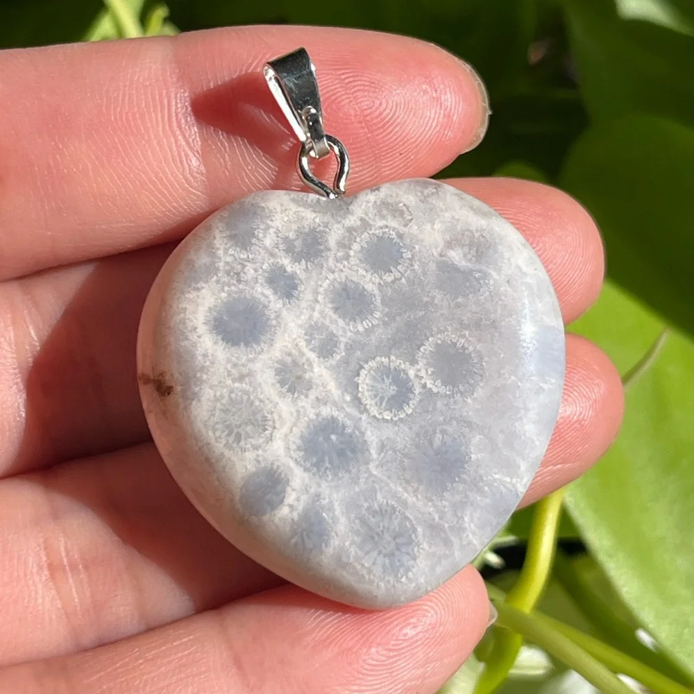 Beautiful stainless steel fossil‎ coral jade pendant 1573